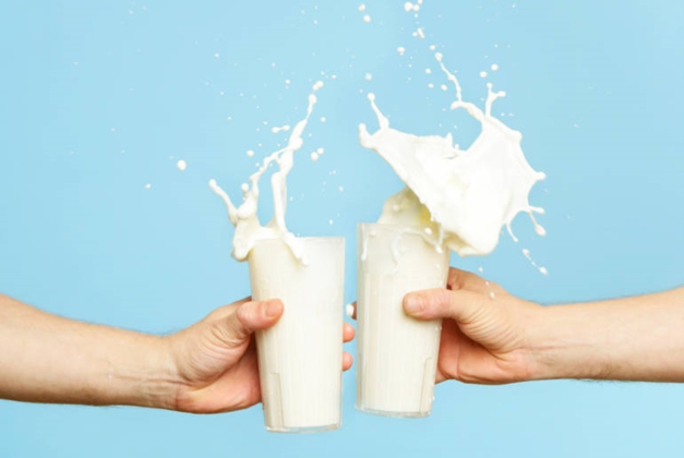 Le lait sous la loupe